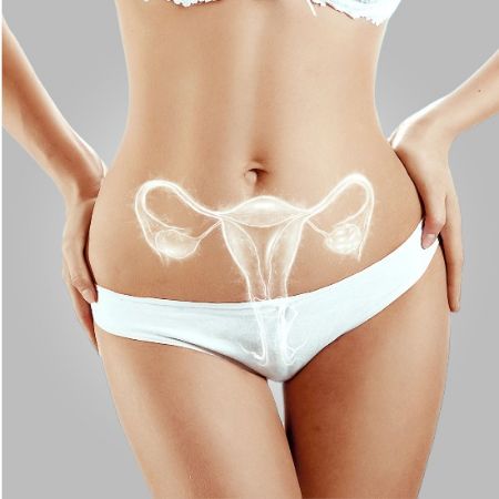 Imagen para la categoría Ovarios Poliquístico (2)
