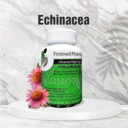 Imagen de Echinacea 500mg